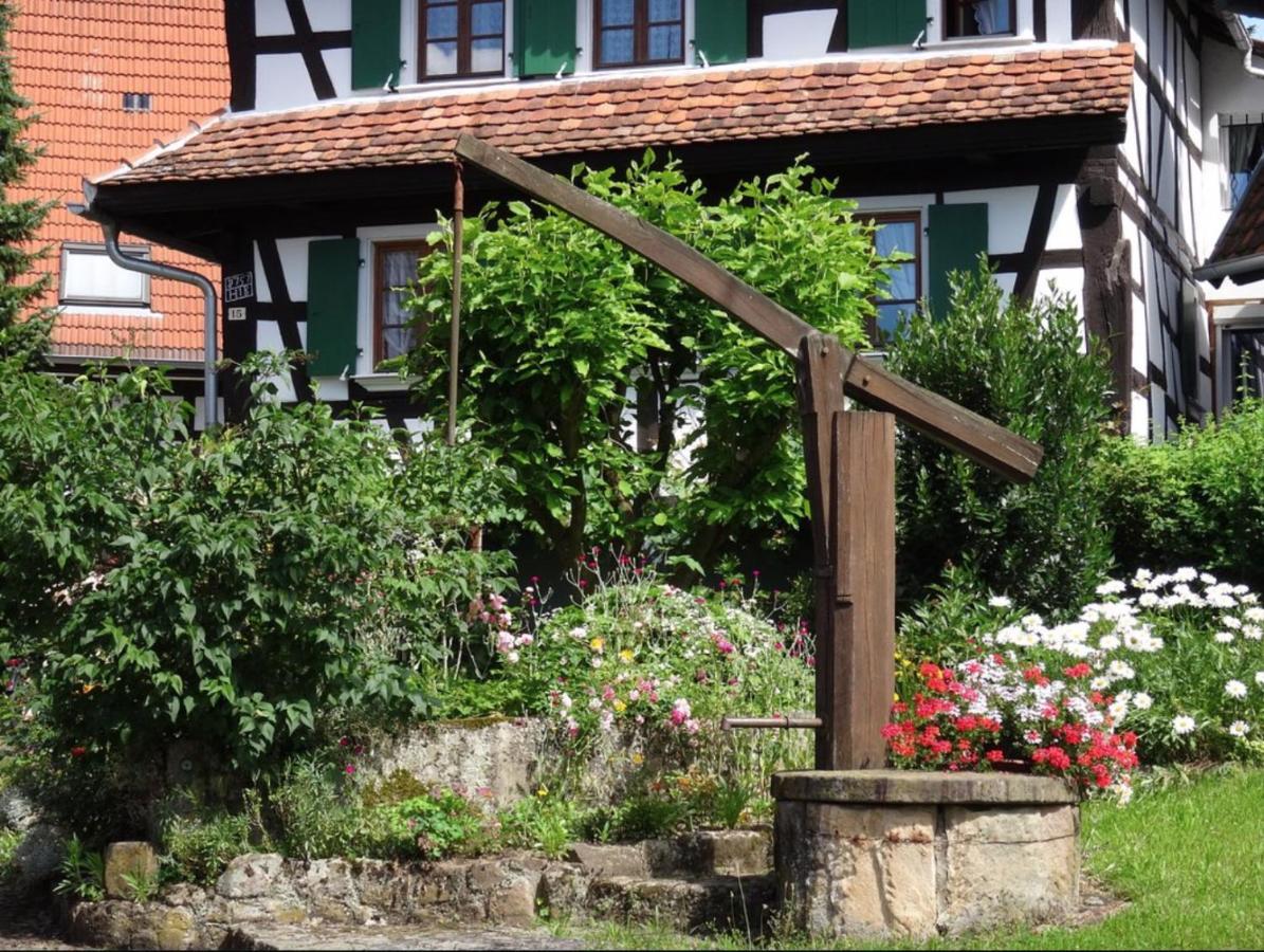 Gites Et Chambres D'Hotes Maison Ungerer Hunspach Exterior photo
