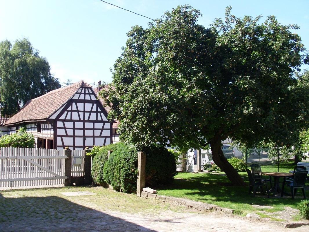 Gites Et Chambres D'Hotes Maison Ungerer Hunspach Exterior photo