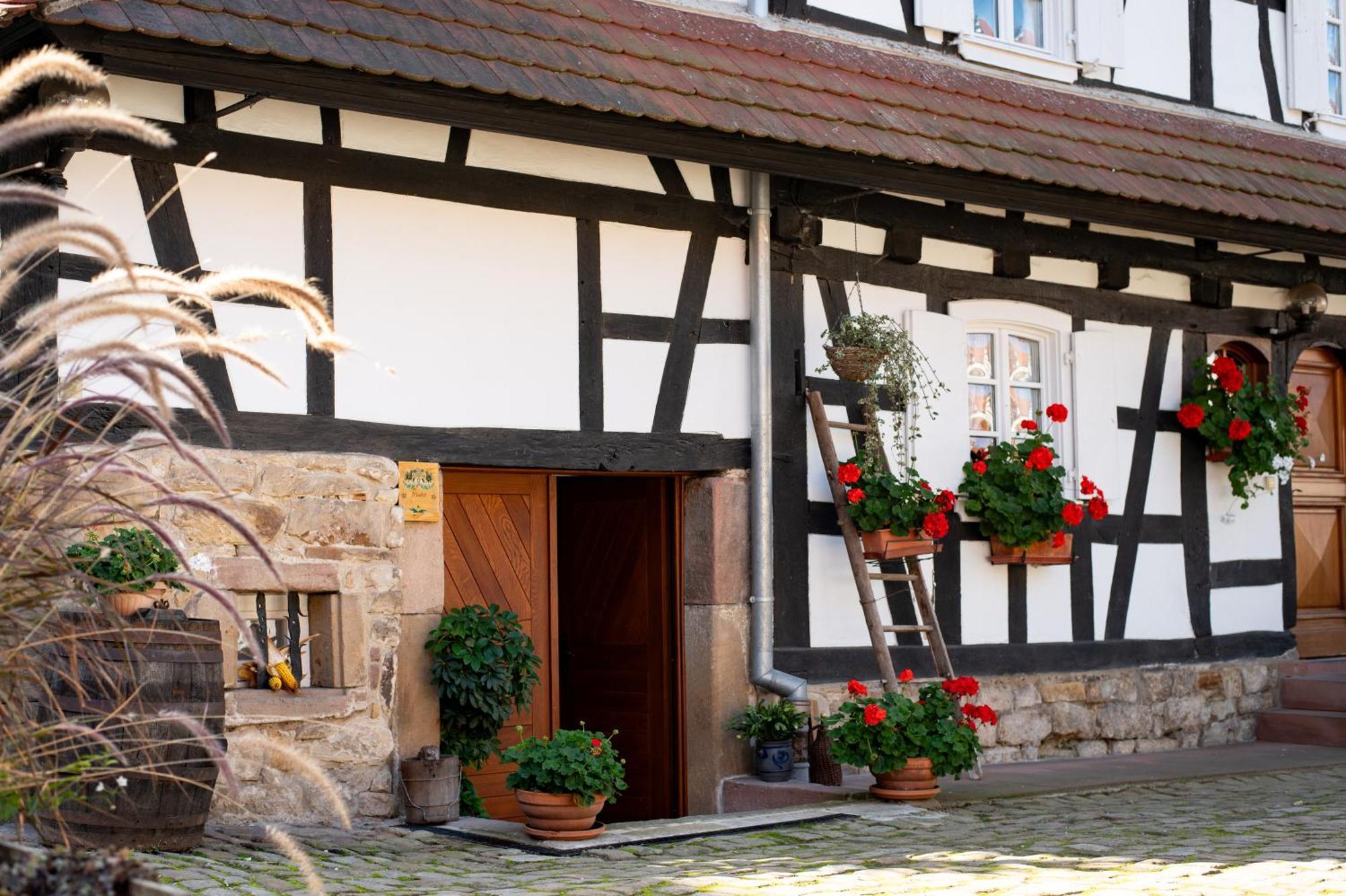 Gites Et Chambres D'Hotes Maison Ungerer Hunspach Exterior photo